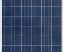 245W panneau photovoltaïque polycristallin GREALTEC