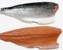 AVEC LA PEAU ETP Chum Salmon 800 / + 1000 GRS, COLOR + 13, 15% Glaze